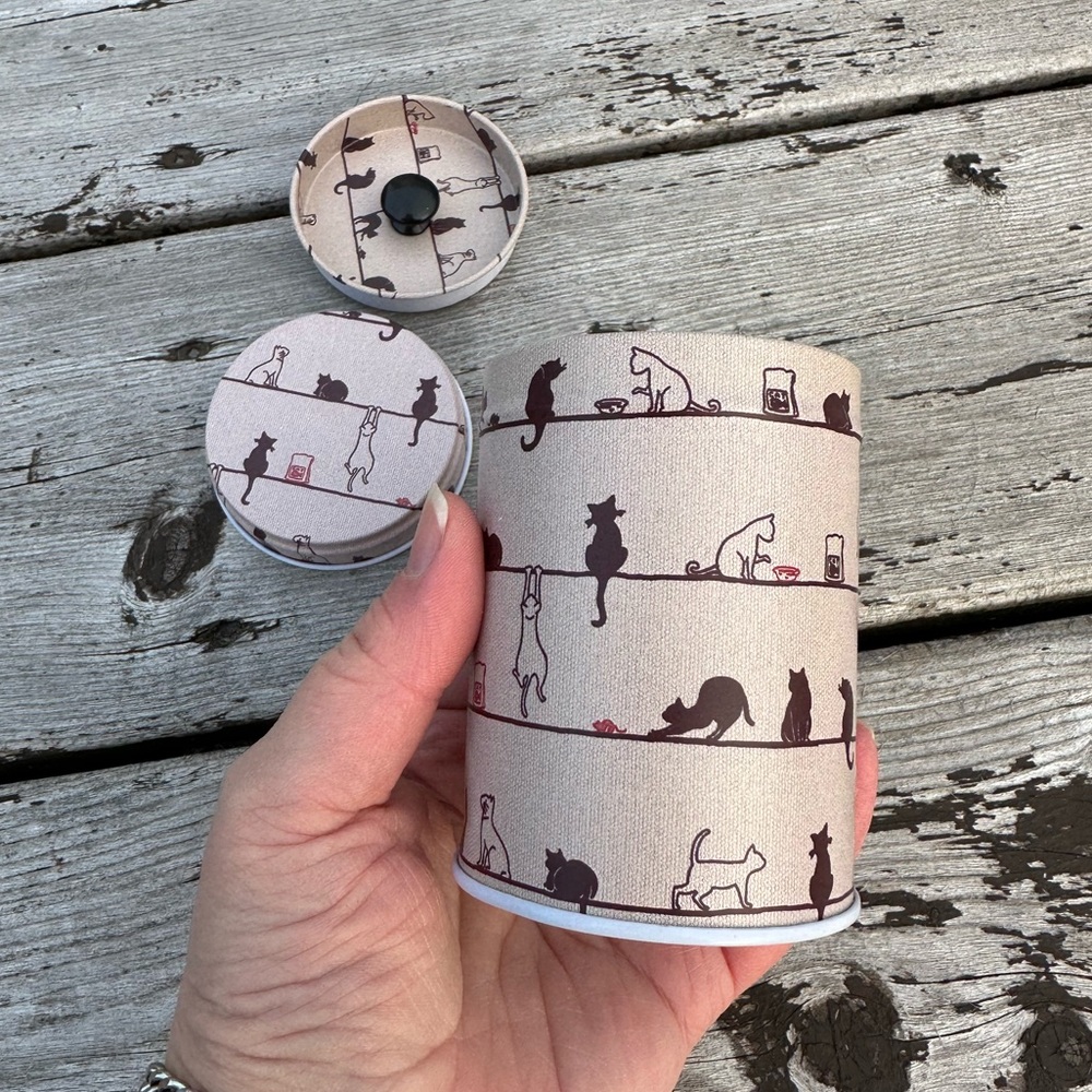 Fun double lid tin container